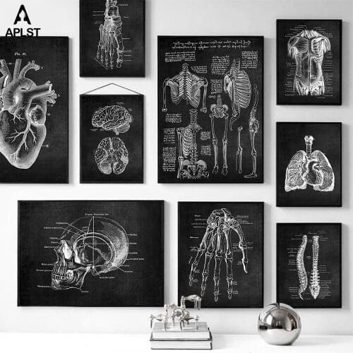 Human Anatomy Artwork Poster Prints Skeleton Organ Muscle System Wall Picture Black White Vintage Body Education Canvas Painting