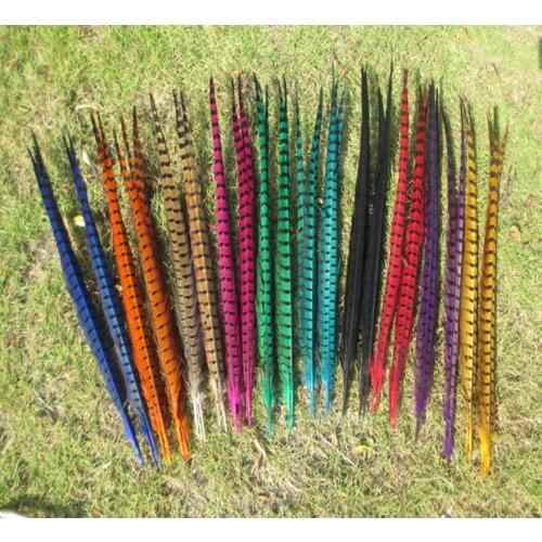 Wholesale 100 PCS/lot beautiful pheasant feather 20-22 inches / 50-55 cm in a variety of color can choose free shipping