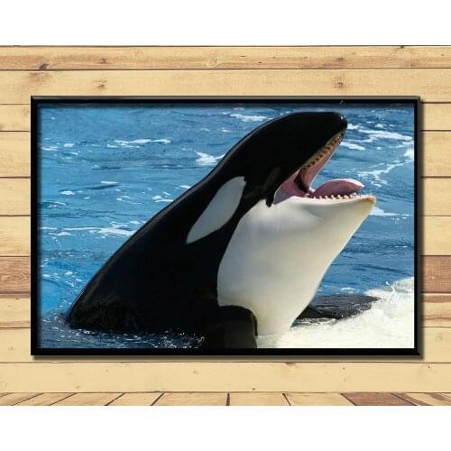 Orca Ferocious Marine Animal (12) Wall Posters Prints Silk Art Painting For Home Wall Bedroom Decor