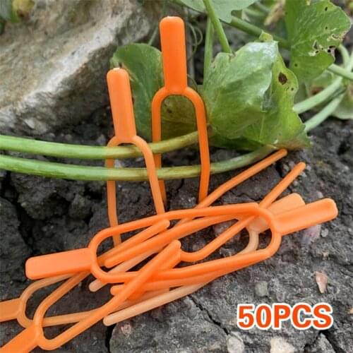 50pcs Plastic Plant Clips Garden Tools Stolons Vine Fixing Fork Fastening Fixture Clamp Accessory Farming Strawberry Forks