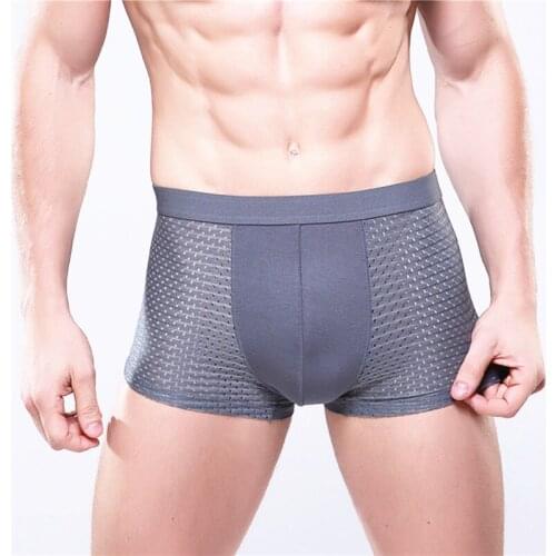 2pcs 4XL Plus Size Bamboo Men Underwear Breathable Modal Panties Male Underpants Man Sexy Mens Boxer Shorts Gray Mesh Boxers