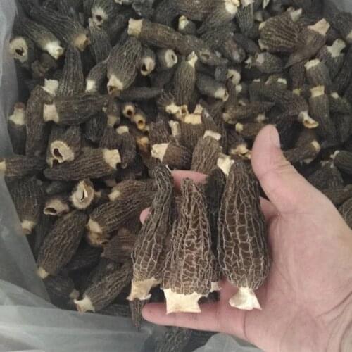 Morchella Dried Morel Mushrooms come from China’s fresh top delicacies to improve health