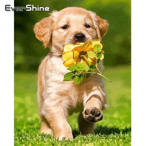 EverShine Oil Painting Paint By Numbers Dog Wall Art Kits Drawing Canvas Animals Hand Painted Wall Decor