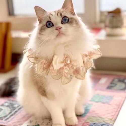 Pet Accessories Lace Dog Necklace Dogs Festival Bow Tie Cat Handmade custom champagne bow with diamond bib pet bib bow tie