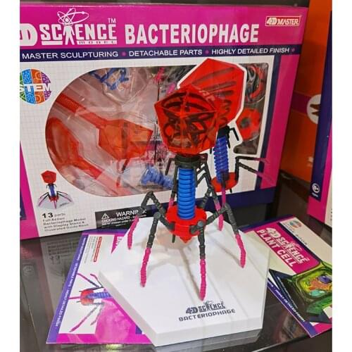 Bacteriophage Virus Anatomy Model Puzzle Prototios Detachable DIY Toy Educational Equipment with Manual 4D MASTER