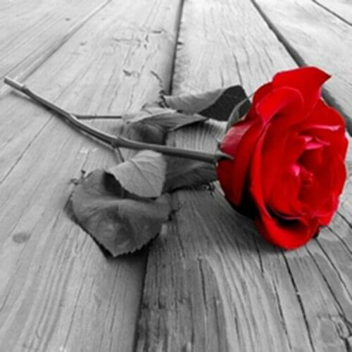 New mosaic full diamond painting embroidery Love Red Rose on floor flowers beads cross stitch oil painting handwork kits HA55