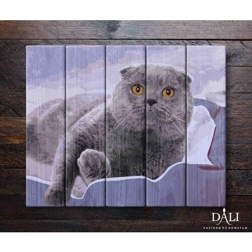 DALI Toys And Goods For Creativity