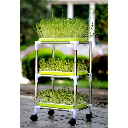 Plastic Nursery Pots Seed Sprouter Tray PP Soil-Free Wheatgrass Grower Seedling Tray Sprout Plate Grower Tray System