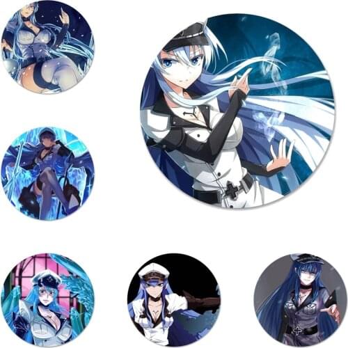 58mm esdeath akame ga kill Icons Pins Badge Decoration Brooches Metal Badges For Backpack Decoration