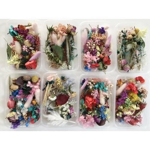 1 bunch of mini dried flowers wedding home decoration gift packaging full star