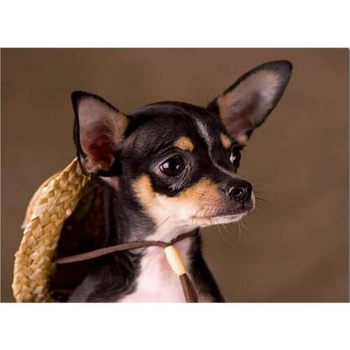 Full Square 5D Diamond Painting Straw Hat Chihuahua Pattern Diamond Embroidery Dog Mosaic Rhinestones Art Stickers Decor GJ678