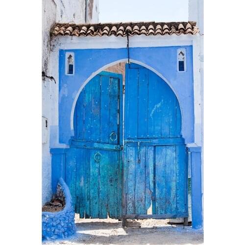 Blue Broken Wooden Door Photography Background Vinyl Cloth Backdrops Photo Studio for Children Baby Portrait Pets Photophone