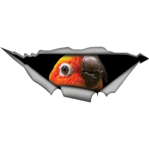 3D Car Styling Sun Conure Parrot Sticker Bird Car Decal Torn Metal Decal Funny Car Stickers Window Bumper,13cm*4cm