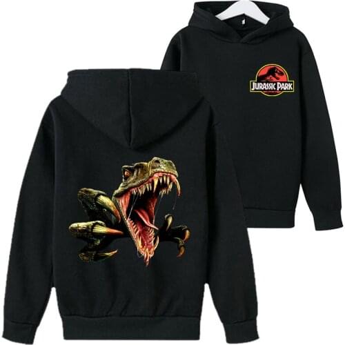 BZPOVB Sweatshirts For Girls