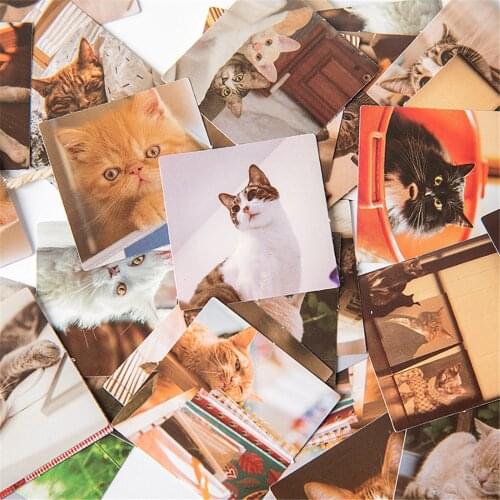 46pcs/box Kawaii Cat Stickers Pattern Stationery DIY Scrapbooking Hand Account Notebook Journal Decorations Office Supplies