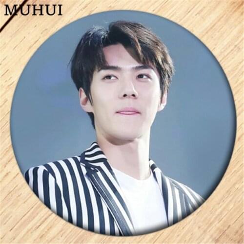 Free Shipping Kpop EXO SEHUN Brooch Pin Badges For Clothes Backpack Decoration Girls Jewelry Gift B165