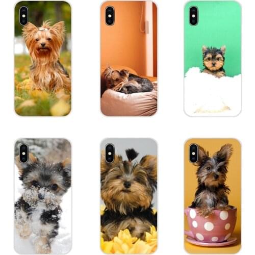For Xiaomi Redmi Note 3 4 5 6 7 8 Pro Mi Max Mix 2 3 2S Pocophone F1 yorkshire terrier dog puppy Accessories Phone Cases Covers