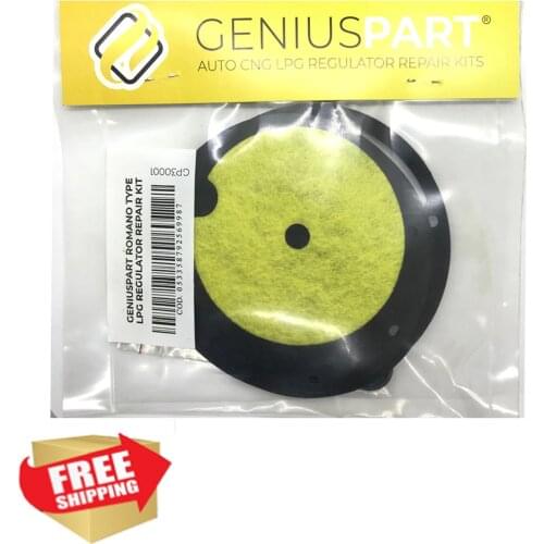 Romano LPG CNG GPL Reducer Repair Kit Romano Vaporizer Diaphragm Seal Set