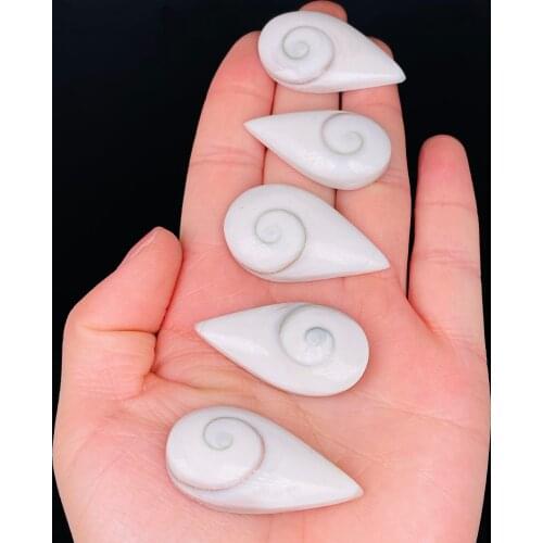 5pcs Natural Sun Shell Fossil Specimen Crystal Love Water Drop Reiki Shiva Eye