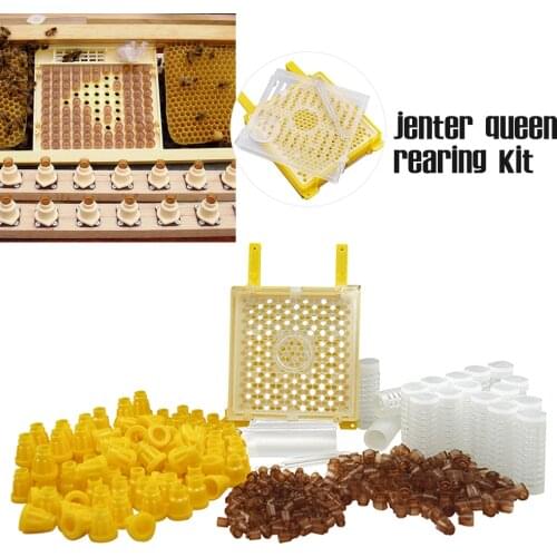 Germany Jenter Queen Rearing Kit Nicot Bee Queens Rearing System Queen Bee Larva Move Cage Goods Tool For Beekeeper Supplies