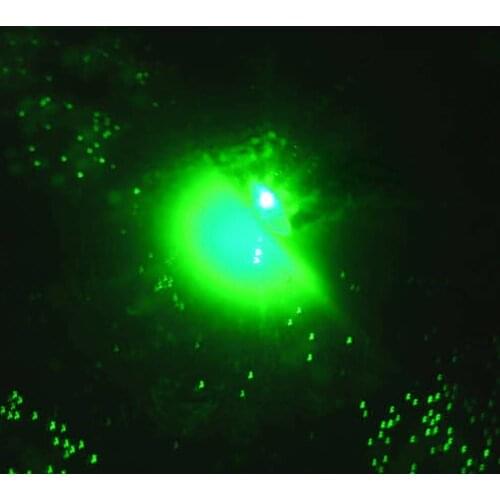 Fishing Lures Waterproof Flashing LED Mini Lamp Bait Practical Fishing Tackle Underwater Attracting Fish Tool New Arrival