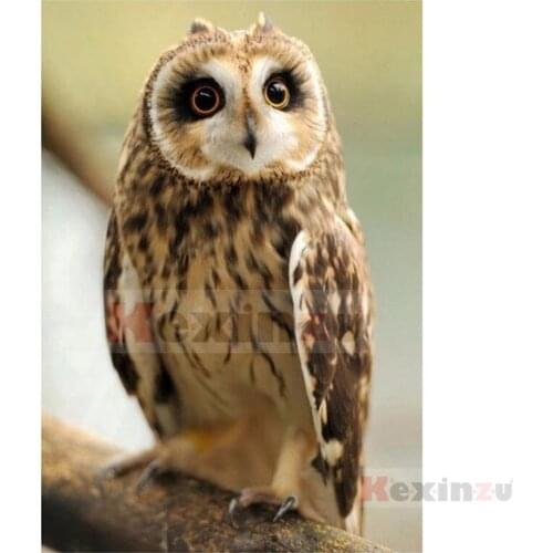 Kexinzu Full 5D DIY Square/Round Drill Diamond Painting "Animal Owl" 3d Diamond Embroidery Mosaic Cross Stitch Decor Gift KD59
