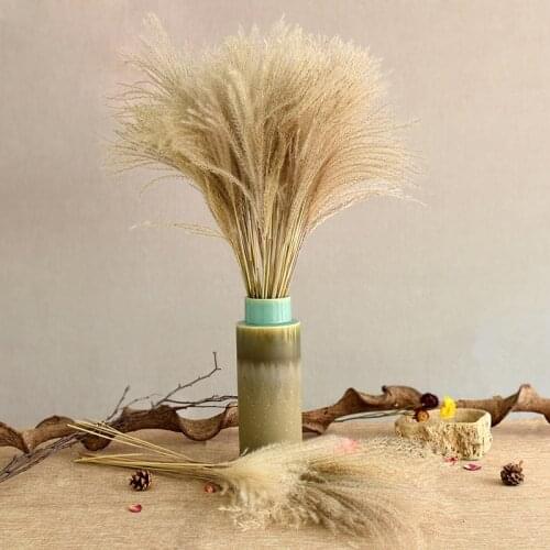 10pcs Natural Reed Dried Flowers Pure Natural Multicolored Bouquet Garden Style Home Decoration Wedding Scene Decoration Flowers