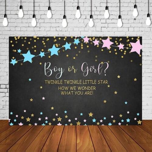 Gender Reveal Party Background Twinkle Little Star Baby Shower Party Photography Backdrop Banner Cake Table Scene Setter Poster