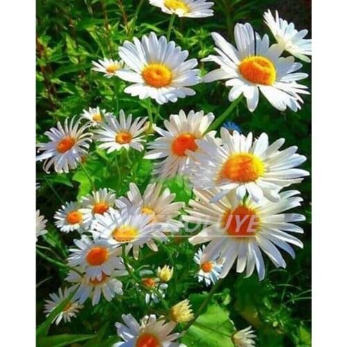 Rhinestone Mosaic Diamond Painting,daisy,Flower Cross Stitch mosaic Diamond Embroidery Sale Diamond Painting Crystal Kits FG1349