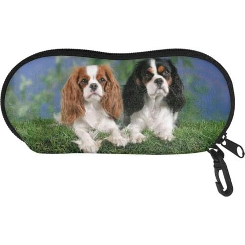 Cavalier King Charles Spaniel Dog Print Eyewear Case Cover Sunglasses Case for Women/Men Fashion Glasses Box with Lanyard Zipper