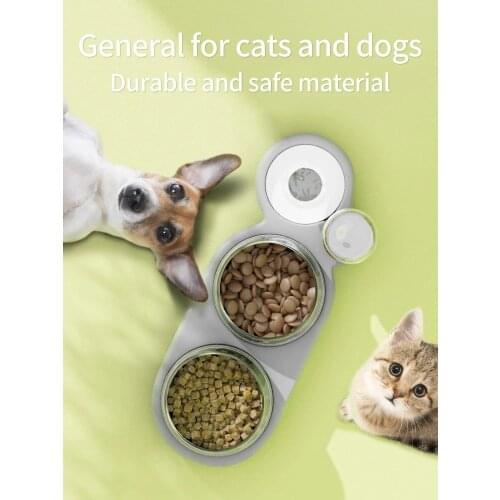 Anti-Overturning Pet Cat Dog Bowl Feeder Cat Food Bowl Water Fountain Protect Cervical Spine Double Bowl Drinking