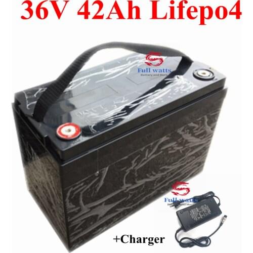 36V 40Ah 42Ah LiFepo4 battery pack for rickshaw ebike power bank power tools sotrage 2000W electric scooter