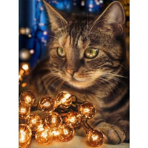 Cat and the lightg DIY diamond Painted set diamond floral full round diamond cross-stitch craft inlay wall decoration