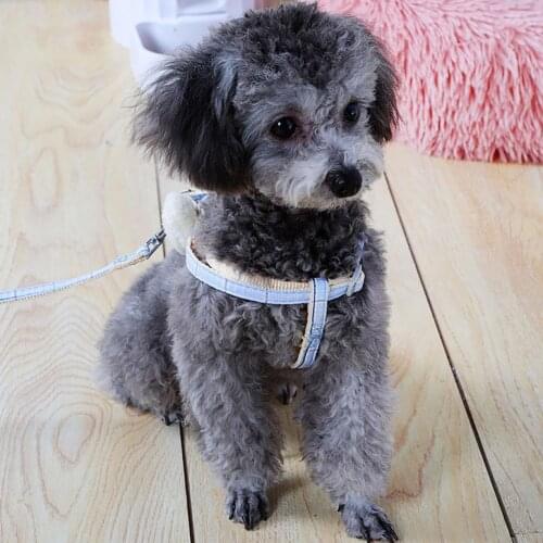 Dog Traction Metal Nylon Cotton Leash Dinosaur Design Stable Adjustable Blue Traction Tool Durable Pet Supplies For Outdoor