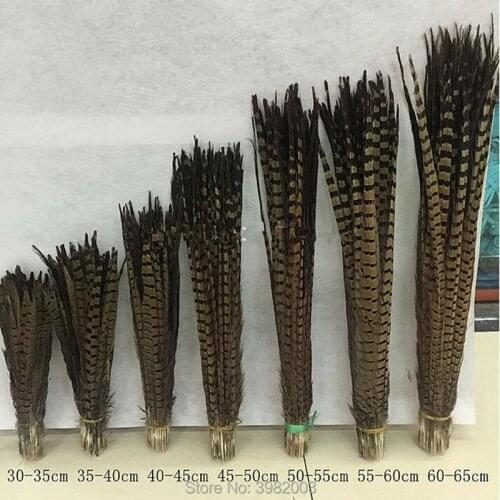 New! Selling 100 pcs beautiful pheasant feathers Various colors optional long 12-40 inch 30-100 cm various props decoration