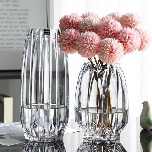 Nordic large glass vase transparent hydroponic plant rich bamboo rose flower vase European style living room decoration