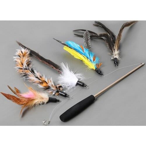 Interactive Cat Teaser Set Retractable Fishing Pole Wand Toy And 5 Replacement Feather Fish Toy Fish toy for kitten