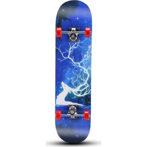 Two Bare Feet Double Kick Complete Skateboard Cruiser for Teens Beginners Kids Colorful Skating Proffesiona