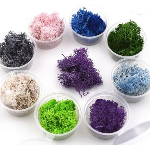 1 box 2-2.5grams Natural moss microlandschaft filler for glass globe silicone mold DIY jewelry making craft materia