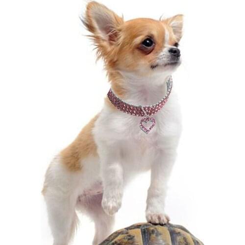 OCARDIAN Collars, Harnesses And Leashes