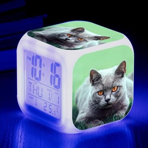 Cute Animal Cat Around Colorful Four Square Alarm Clock Creative Small Alarm Clock Small Gift for Students and Children