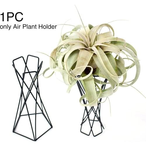 Flower Pots Stand Desktop Office Home Decor Nordic Style Garden Balcony Tillandsia Iron Art Geometric Ornaments Air Plant Holder