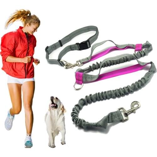 Pet product Dog Leash Running belt Jogging Sport Adjustable Nylon Dog rope With Reflective Strip Pet Accessories Hands Free