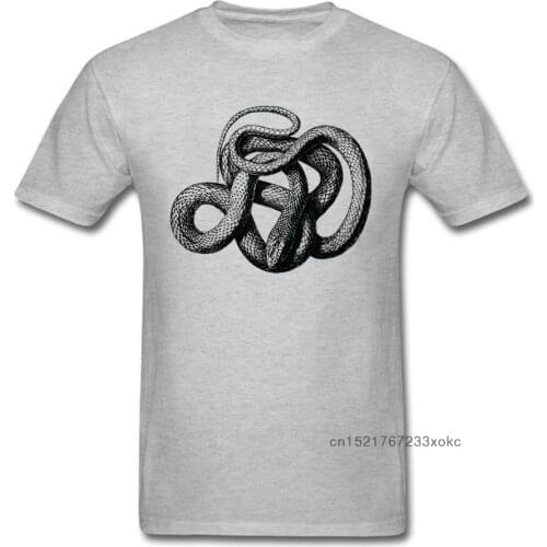 Vintage Snake Print Men Grey T-shirt Short Sleeve 100% Cotton Tee Shirt High Quality No Fade Cartoon Tops Custom