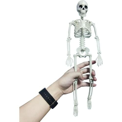 Active Human Model skeleto Anatomy Skeleton Skeleton Model Medical Learning Halloween Party Decoration Skeleton Art Sketch 1 Pcs
