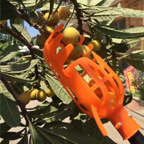 Garden Tools Fruit Picker Head PlasticFruit Picking Tools Fruits Catcher Picking Apple Citrus Pear Peach Hand Tools