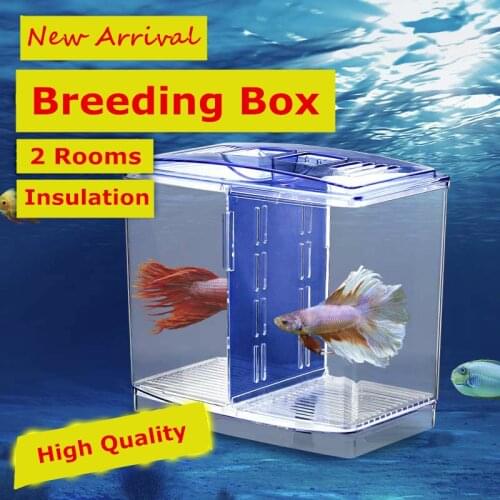 New 2 Rooms Betta Fish Breeding Boxes Double Guppies Hatching Incubator Isolation Acrylic Mini Aquarium Tanks Durable AT004