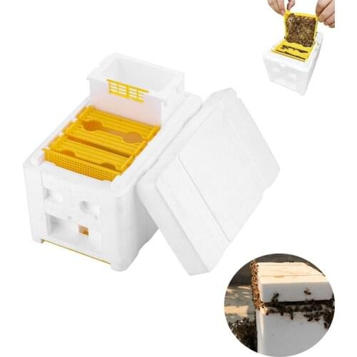 Bee Hive Beekeeping King Box Pollination Box Foam Frames Queen Bee Mating Box Beekeeping Tool Equipment