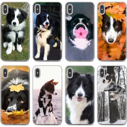 Border Collie Dog Breed Print For Samsung Galaxy A10 A40 A50 A70 A3 A5 A7 A9 A8 A6 Plus 2018 2015 2016 2017 Silicone Shell Case
