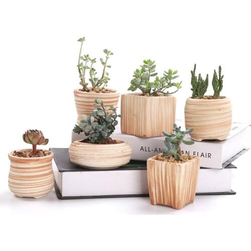 SUN-E 6 in Set 3 Inch Ceramic Wooden Pattern Succulent Plant Pot Cactus Plant Pot Flower Pot Container Planter Gift Idea